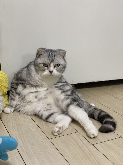 離れてわかった、さみしさの正体