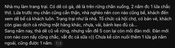 Lại thế nữa rồi