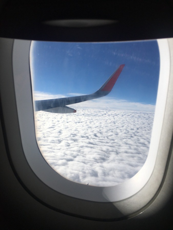 Lý do đến Nhật